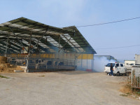 구미시, 럼피스킨병 확산 방지 위해 긴급 방역 나서