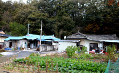 [기획특집] 살기좋은 경북 (26) 안동시 남선면 구미리