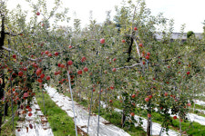 [기획특집] 살기좋은 경북 (30) 문경시 유곡동