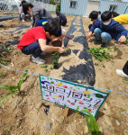 [기획특집] 행복한 작은학교 (34) 울진군 평해초등학교