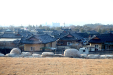 숲머리마을의 탁 트인 전망·주변 경관 감상할 수 있는 뷰 맛집, 커피와 베이커리까지 안성맞춤…차 한 잔으로 편히 쉬어갈 수 있는 힐링카페... 