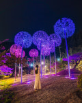 김천 직지문화공원, 야간 관광명소로 거듭나
