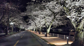 밤에도 빛나게···대구 달성군, 도심 곳곳 야간 경관개선사업 완료