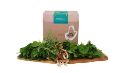 영양군 로컬푸드직매장, ‘건강 담은 착한 산채 꾸러미’ 출시