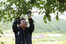 권기창 안동시장, 봄철 농촌일손돕기 나서