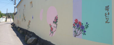 모란꽃이 피었습니다...황남동 ‘천원마을’ 담벼락 모란으로 새단장