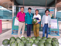 상주 공검면 체육회 김지태 회장, 경로당에 초복 맞이 수박 기탁