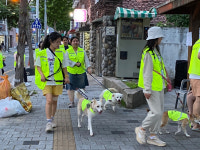 대구 북구 관음동, 펫폴리단 모집