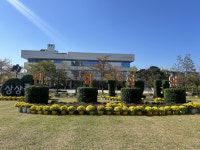 상주시농업기술센터, 제23회 국화전시회 개최