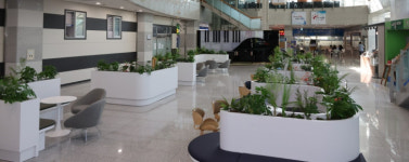 포항시 청사, 시민과 함께하는 소통과 휴식 공간으로 새 단장