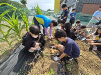 [기획특집] 행복한 작은학교 (41) 영천시 지곡초등학교