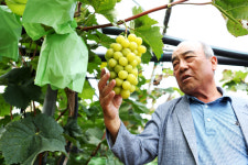 [기획특집] 살기좋은 경북 (41) 영천시 화남면