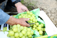 [기획특집] 살기좋은 경북 (41) 영천시 화남면