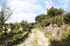 [기획특집] 살기좋은 경북 (41) 영천시 화남면