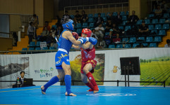 경산시, 다양한 시장기 체육대회 연이어 개최