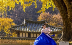 경주 운곡서원 은행 노거수 아래, 감성 더할 가을음악회