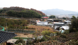 [기획특집] 살기좋은 경북 (49) 김천시 개령면