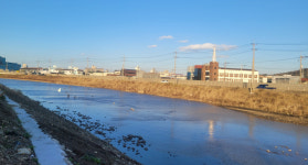 포항 칠성천, 생태하천 복원으로 철새 쉼터 부활