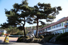 [기획특집] 행복한 작은학교 (51) 김천시 조마초등학교