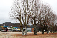 [기획특집] 행복한 작은학교 (53) 안동시 길안초등학교