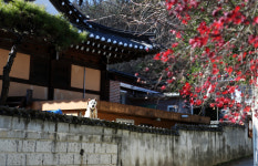 [기획특집] 살기좋은 경북 (56) 문경시 영순면