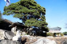 [기획특집] 살기좋은 경북 (57) 문경시 호계면