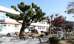 [기획특집] 행복한 작은학교 (57) 문경시 호계초등학교