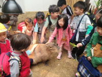 [기획특집] 행복한 작은학교 (63) 경산시 청천초등학교