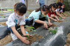 [기획특집] 행복한 작은학교 (63) 경산시 청천초등학교