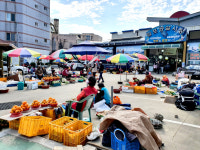 [기획특집] 동경주 구석구석 ①개항 100년 맞은 감포항