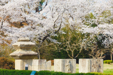 윤상덕 국립경주박물관장...경주박물관 새롭게 이끌 수장으로  준비된 적임자