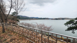 경주시, 보문호수 주변 환경정비 실시