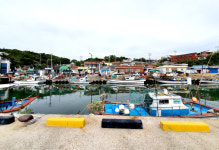 [기획특집] 동경주 구석구석 ③ 주상절리 품은 아름다운 읍천항