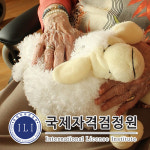 국제자격검정원, 노인돌봄생활지원사 자격증 등 실버과정 온라인 무료교육 진행