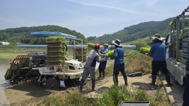 상주시 농촌지도자연합회-모서면, 공동경작 모내기 행사
