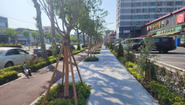 포항시, 포스코대로 걷고 싶은 거리로 조성…도시 활력 불어넣는다