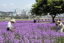 [기획특집] 영천시, 5월 수출 확대·소비 진작·관광객 유치로 지역경제 활력
