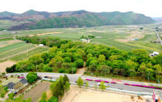 [기획특집] 살기좋은 경북 (65) 의성군 점곡면