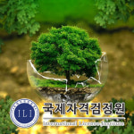 국제자격검정원, ESG·환경영향평가·탄소중립실천 관련 지도사 자격증 무료교육