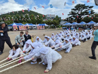 포항 송라면, 전통 ‘앉은줄다리기’ 재현…면민 500여 명 화합의 장