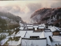 [성씨의 고향을 찾아서] 명가의 후예 : 지례예술촌 지촌종가