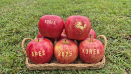 경북도 19개 우수기업, APEC 정상회의 공식 협찬사 선정