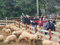 경북중부중학교, 남해안 일대 체험활동 운영