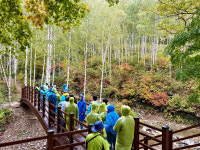 영양군 장애인 보호작업장, 자작나무 숲에서 오감으로 느끼는 치유의 시간