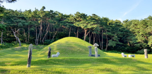 [기획특집] 살기좋은 경북 (79) 상주시 사벌국면