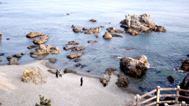 [기획특집] 동경주 구석구석 (19) 용들의 전설 품은 감포읍 ‘용굴