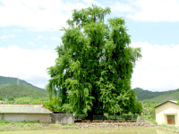 [기획특집] 살기좋은 경북 (89) 구미시 옥성면