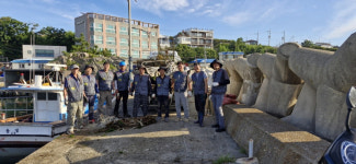 전구교체부터 집수리까지...포항 구룡포 석병2리 청년회 무한봉사 화제