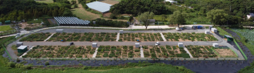 경산시, 체험형 텃밭 도시농업 공영농장 개장