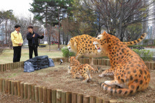 대구 달서구, 선사시대로 테마거리 4단계 완료